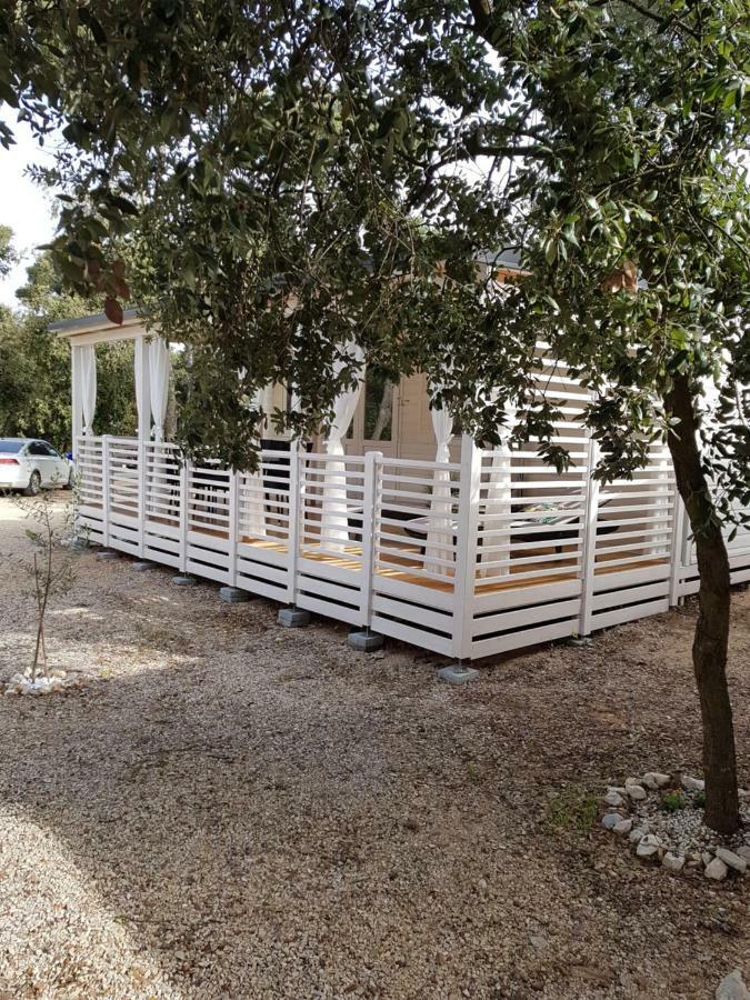 ביוגראד נה מורו Summertime By Pearl Of The Biograd מראה חיצוני תמונה